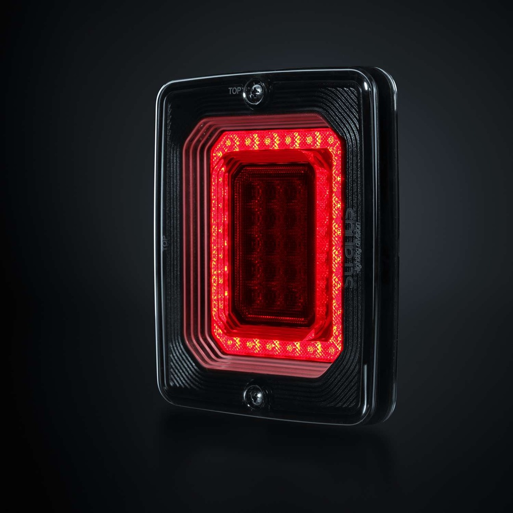 FOR9T ILLUSION Reverse-Fog Light (1)