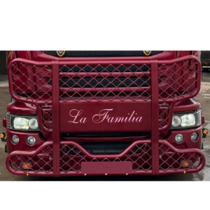 DEFENSAS SCANIA R
