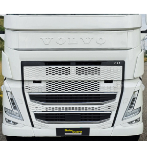 MATALOROS VOLVO FH5